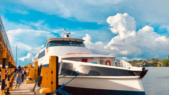 Филиппины: билет на корабль/лодку/катер с кондиционером/бизнес-классом по маршруту Себу - Бохоль - Сикихор - Дамагует