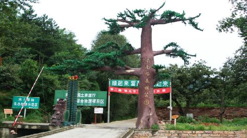 Qiannanyu Forest Park