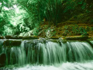 Bamboo Canyon Scenic Area (Jinji Valley)