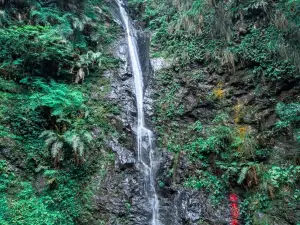 Niumulin Nature Reserve