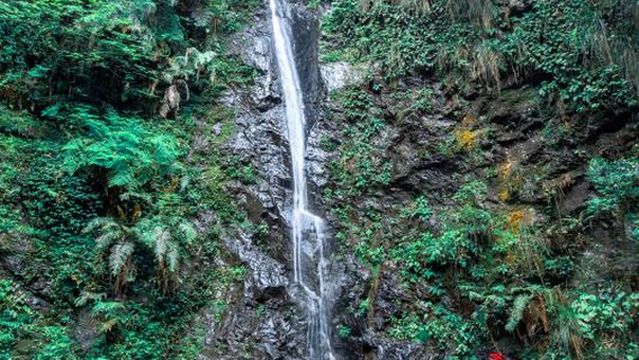 Niumulin Nature Reserve