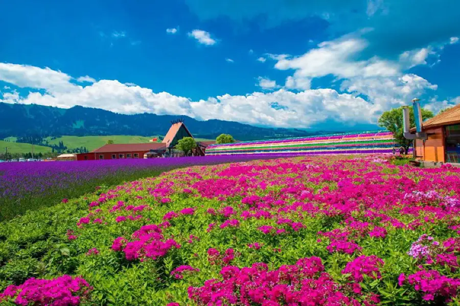 花海那拉提