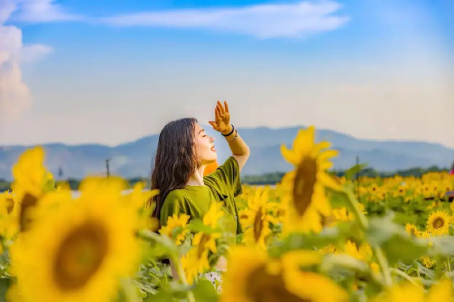 Xiazhu Lake Wetland Park, Deqing