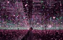 The Starry Band Museum