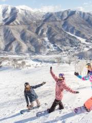 湯澤中里滑雪渡假村