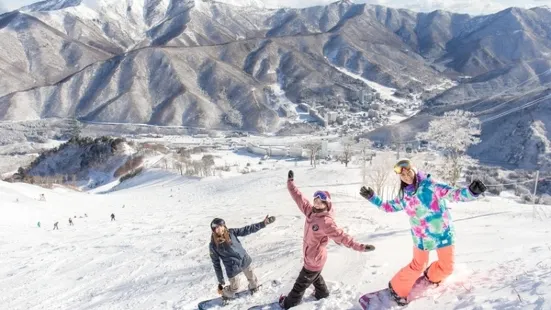 Yuzawa Nakazato Snow Resort