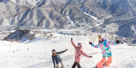 湯澤中里滑雪渡假村