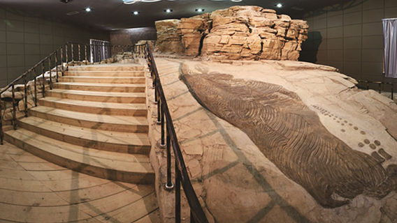 Guanling Fossil National Geopark