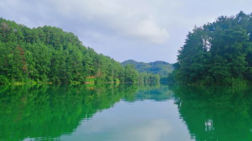 Yangming Lake Scenic Area