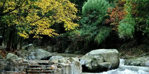 2人起私家團浙東小九寨慈城古縣城一日遊寧波紹興杭州上門接送