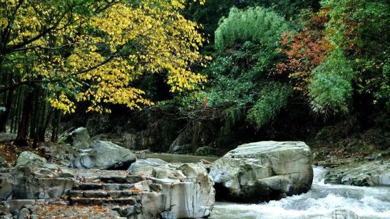 象山日遊