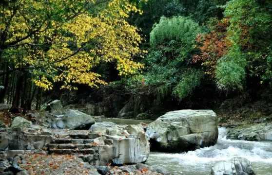 2人起私家團浙東小九寨慈城古縣城一日遊寧波紹興杭州上門接送