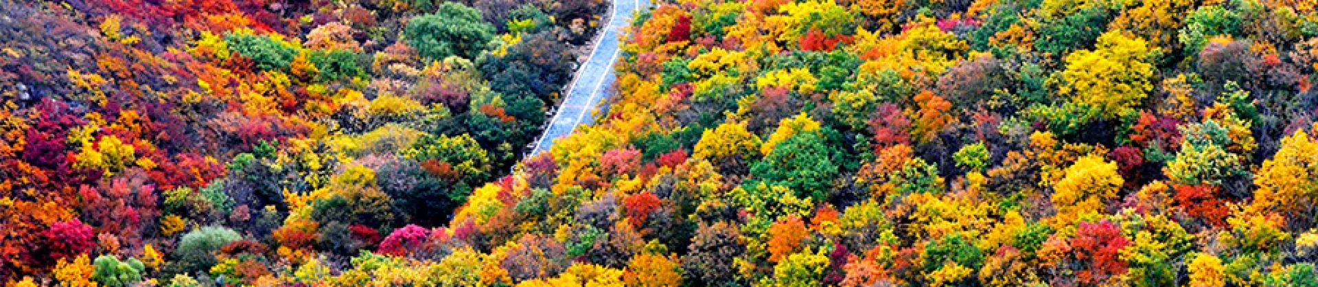 Attrazioni per la visione autunnale