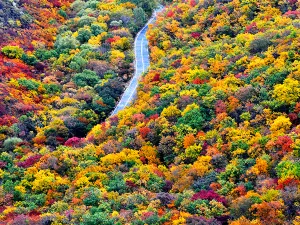 Daheishan Forest Park