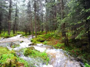 Yanzhi Mountain Forest Park