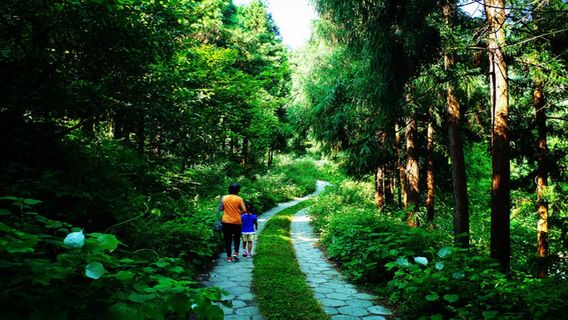 Xieshan National Forest Park