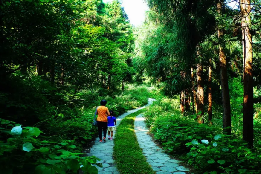 Xieshan National Forest Park