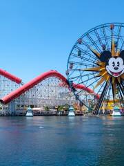 Disney California Adventure Park