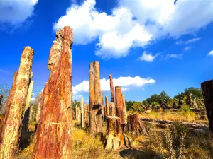 Yema Ancient Ecological Park