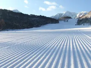 Nekoma裡磐梯貓魔滑雪場