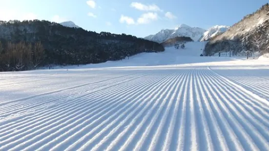 Nekoma裡磐梯貓魔滑雪場