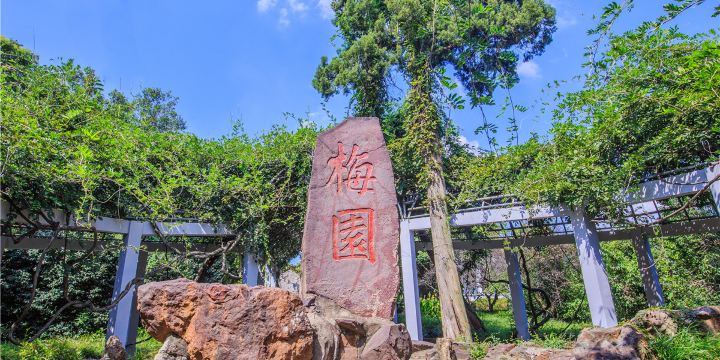 Mei Garden