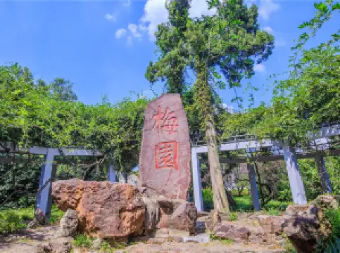 Plum Garden