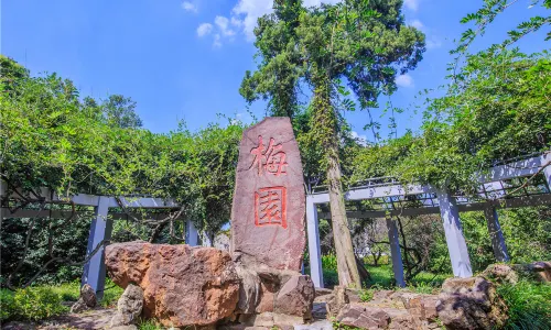 Plum Garden