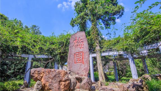 Plum Garden