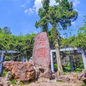 Plum Garden