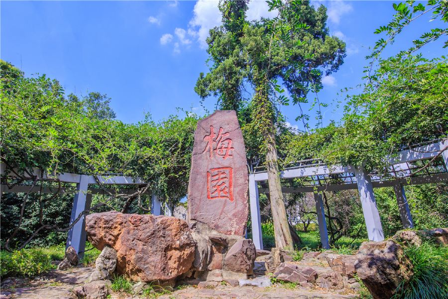 梅園