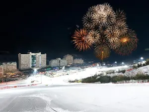 비발디파크