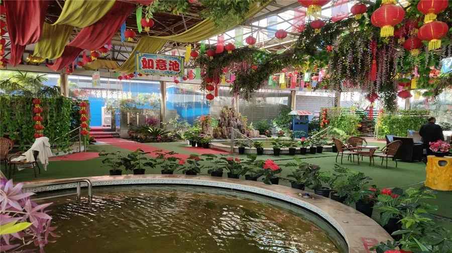 4_Qinlong Hot Spring