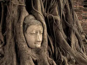 Ayutthaya UNESCO's Heritage City - 5 Ancient Temples Tour