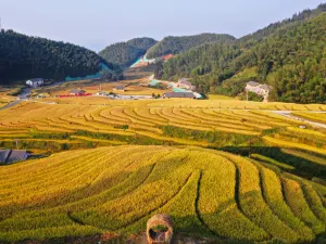 Shangbao Rice Terraces