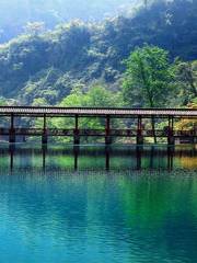 遠安鳴鳳山風景区