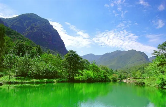 青要山觀光車票大小同價