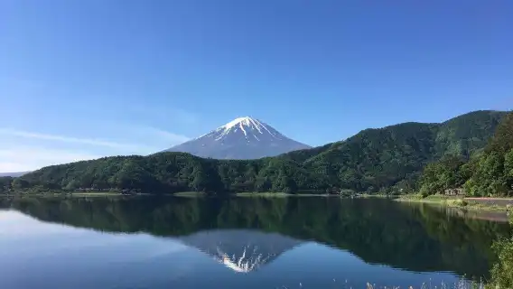 日本巴士票 東京至富士山站河口湖富士急來回巴士票
