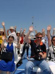 "Yuguangqu" round the harbor and island