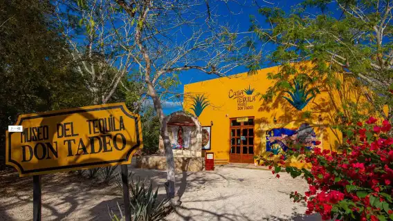 Chichen Itza and the Internet-famous Double Sky Well 1-day tour[Explore Mayan Civilization with admission ticket and Lunch]