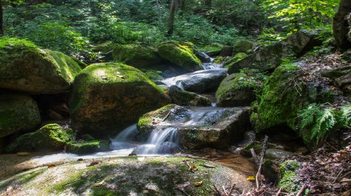 Baicaowa National Forest Park