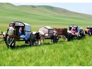 Wild Wolf Valley, Wulagai Grassland