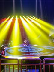 Rizhao Forest Circus