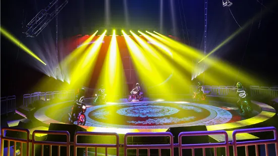 Rizhao Forest Circus