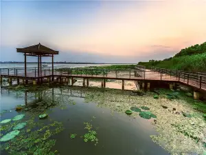 Yangcheng Lake Lotus Island