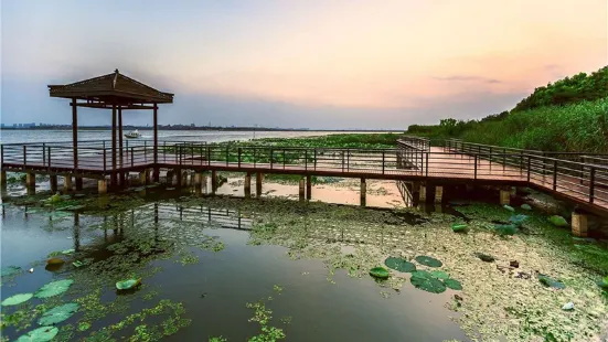 陽澄湖蓮花島