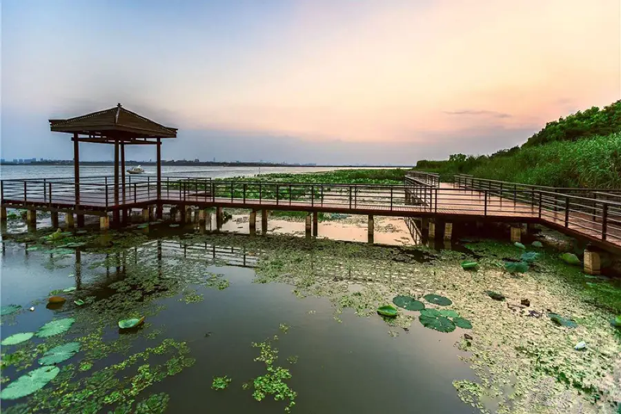 Yangcheng Lake Lotus Island