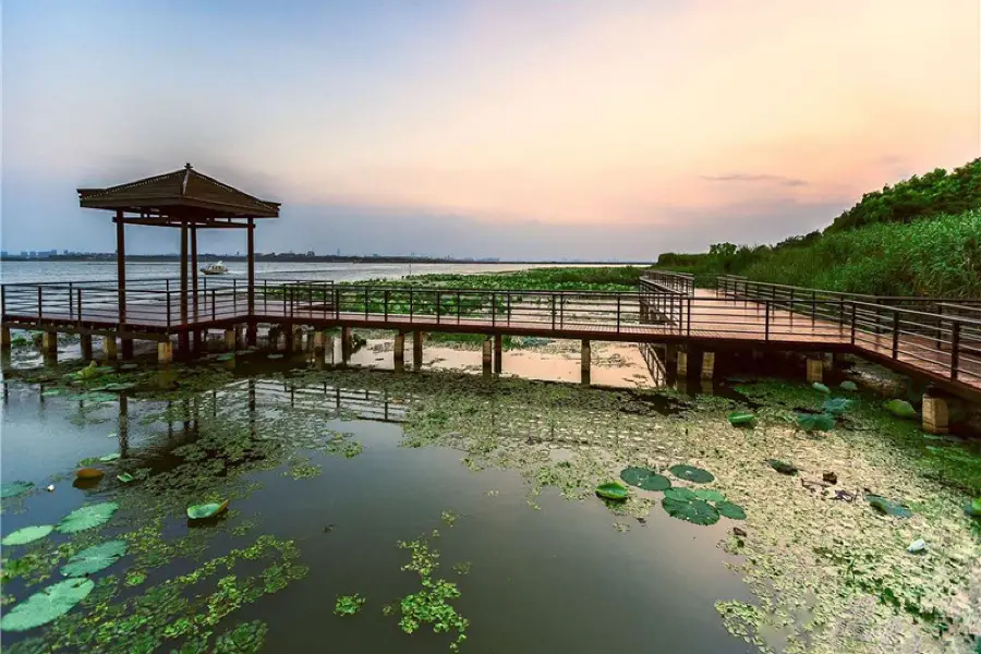 陽澄湖蓮花島