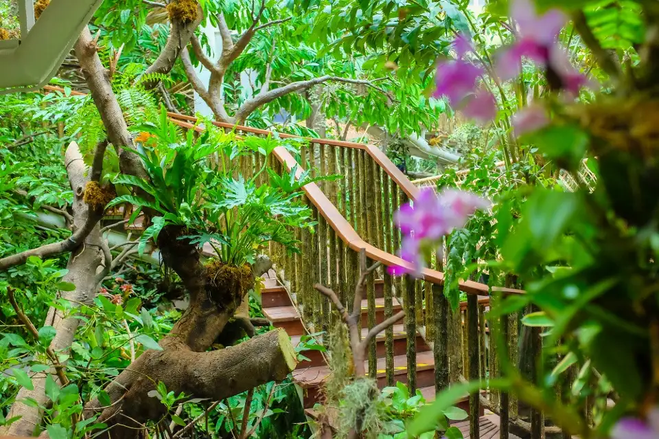 3_Grandview Rainforest Ecology Botanical Garden