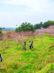 Huahai Zhiyin Scenic Spot